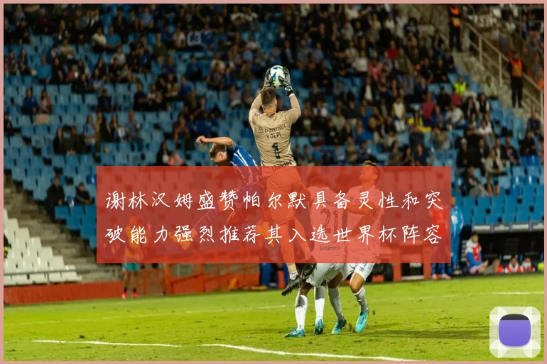 谢林汉姆盛赞帕尔默具备灵性和突破能力强烈推荐其入选世界杯阵容