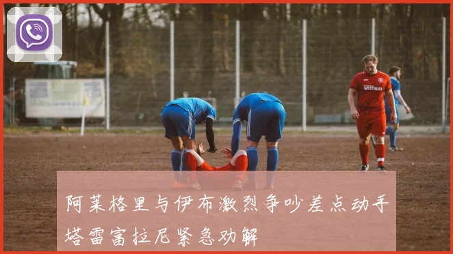 阿莱格里与伊布激烈争吵差点动手塔雷富拉尼紧急劝解